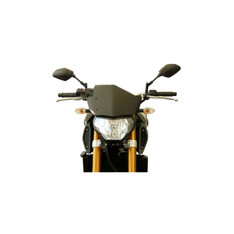 Fabbri Gen-X Sport screen for Yamaha MT-09