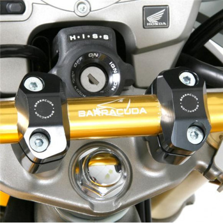 barracuda yellow stripe bike